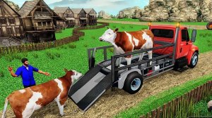 Rural Livestock Hauling Journey