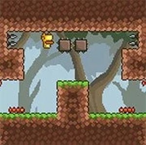 Gravity Duck 3 Online Puzzle Game