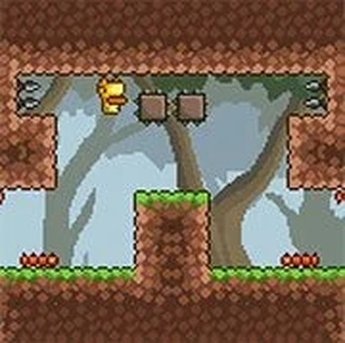 Gravity Duck 3 Puzzle