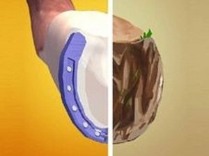 Horseshoeing Online Game