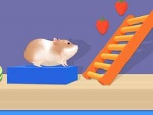 Hamster Maze Online Game