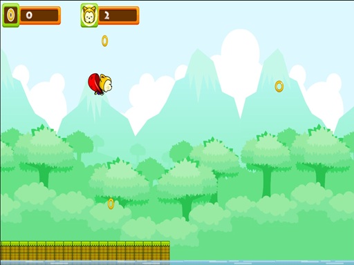 Acorn Flight Action Game