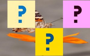 Butterfly Memory Match Puzzle Game Online