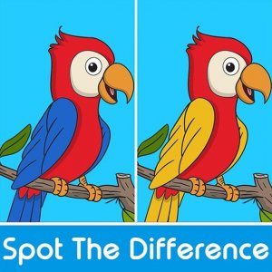 Spot the Difference Online Puzzle Game
