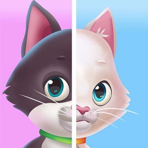 Spot Differs Puzzle Game