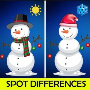 Christmas Spot the Differences Puzzle Game
