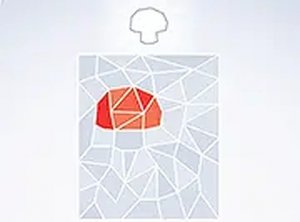 Colorform Discovery Puzzle